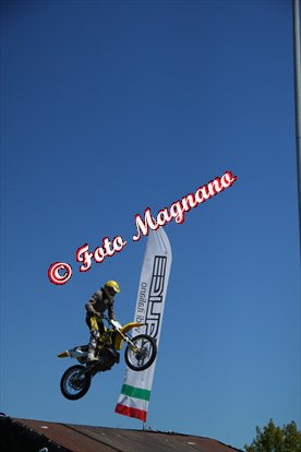 IMG_7537.jpg